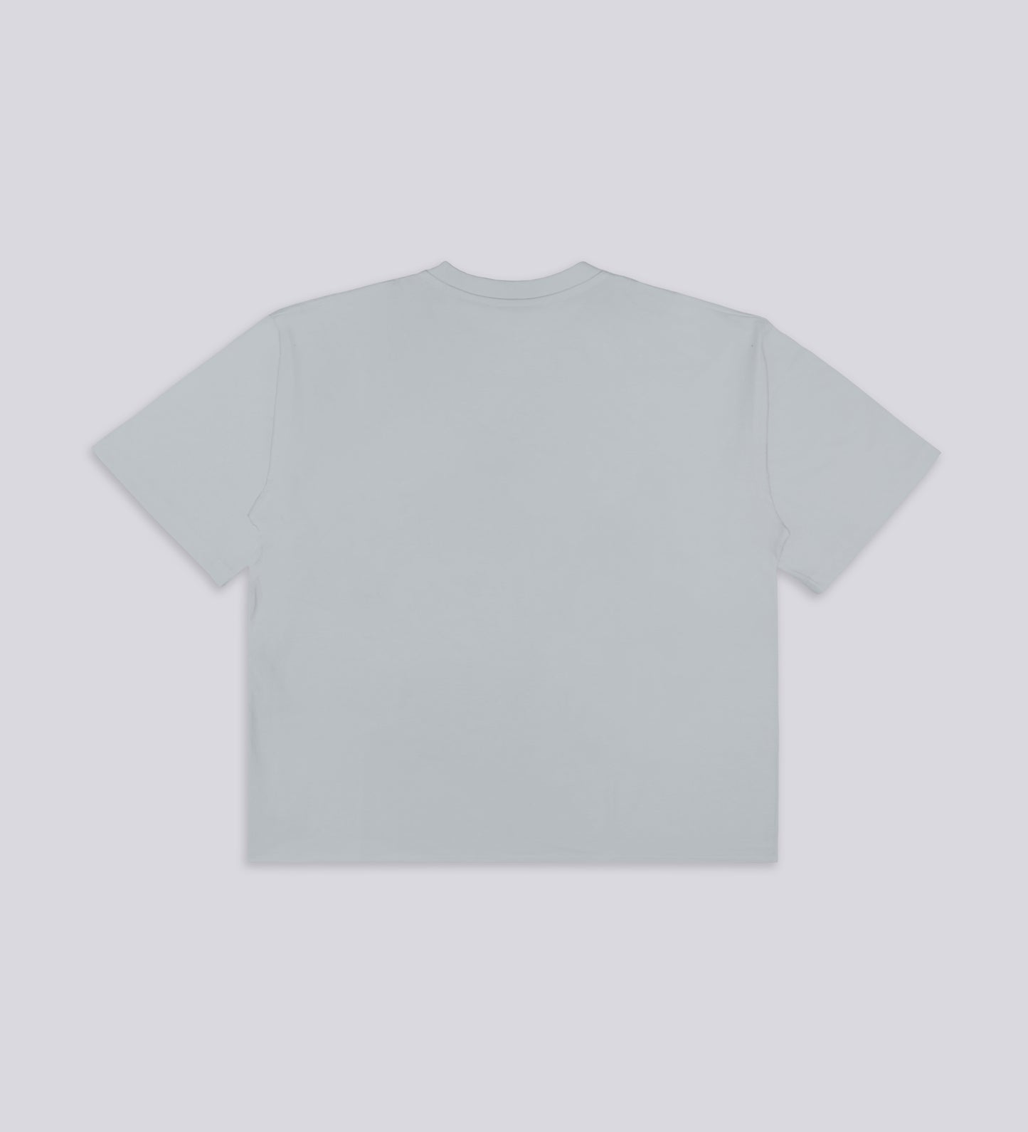 CULT SUPPLY T-SHIRT – Gray (Upcycled Fabric)