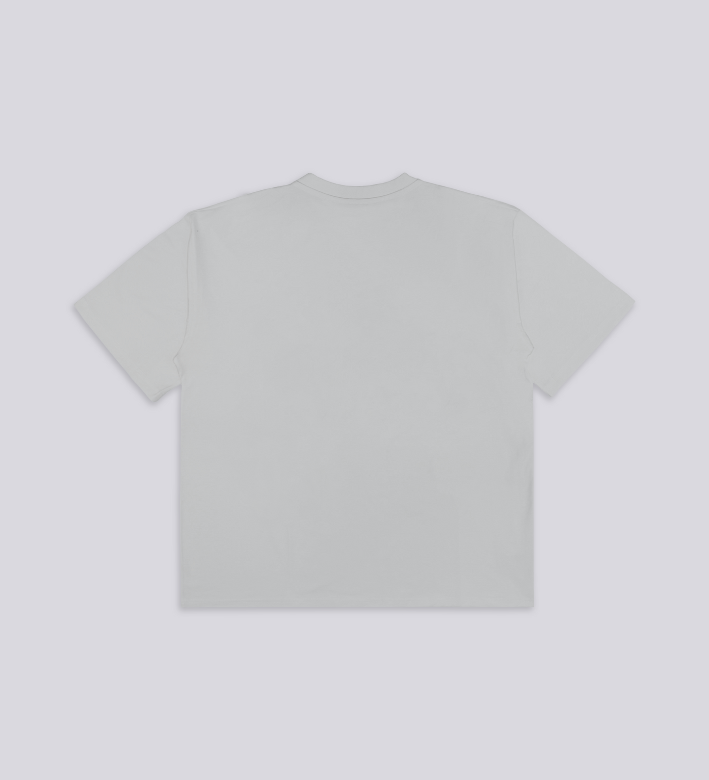 T-SHIRT CULT SUPPLY – Gris clair