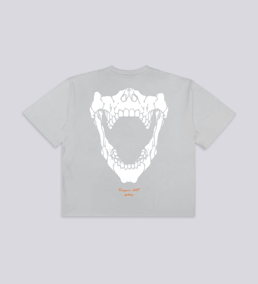 T-SHIRT CONQUER ALL T-SHIRT – Gris clair