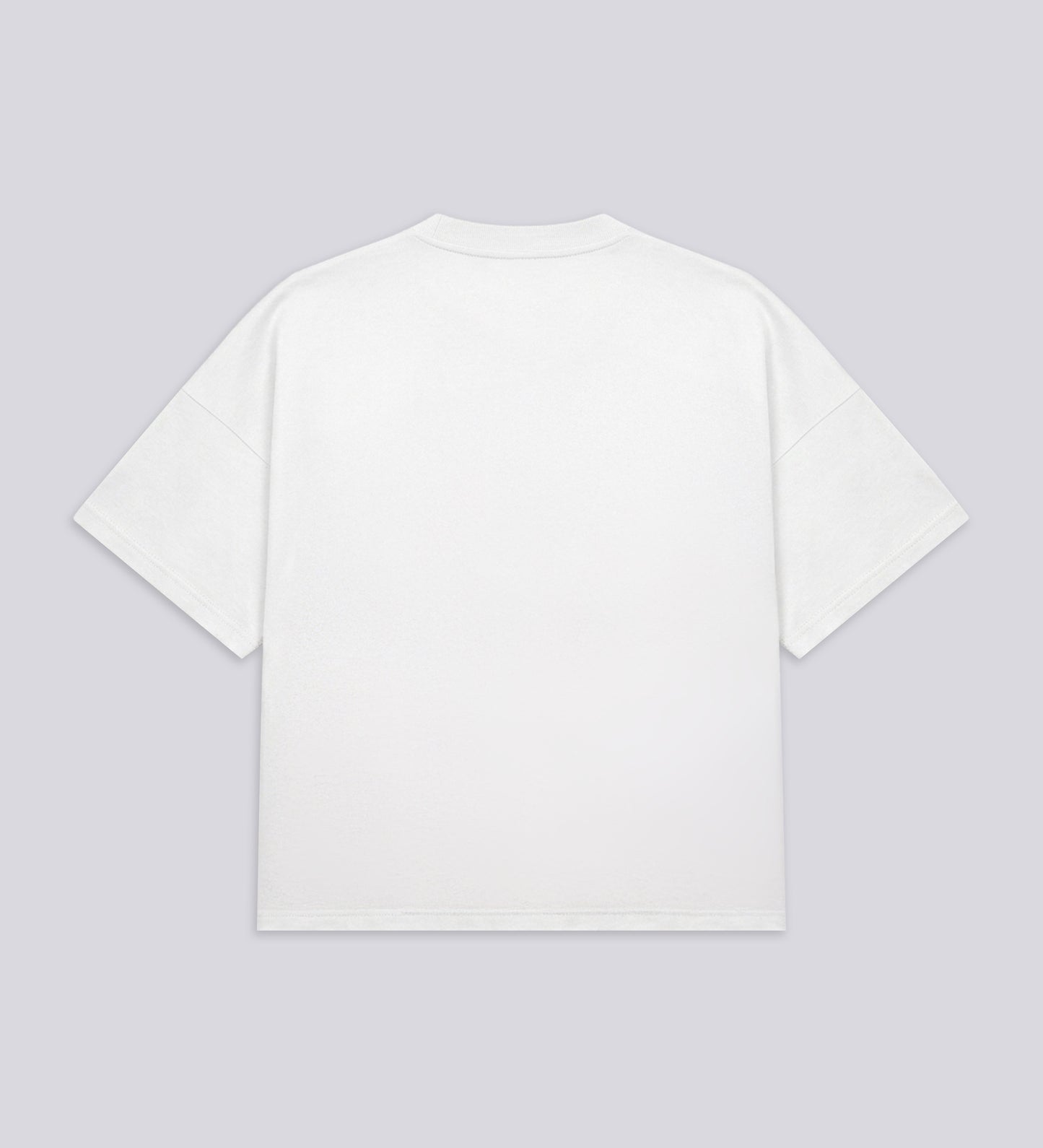 VENOM BOXY HEAVYWEIGHT T-SHIRT – Off White