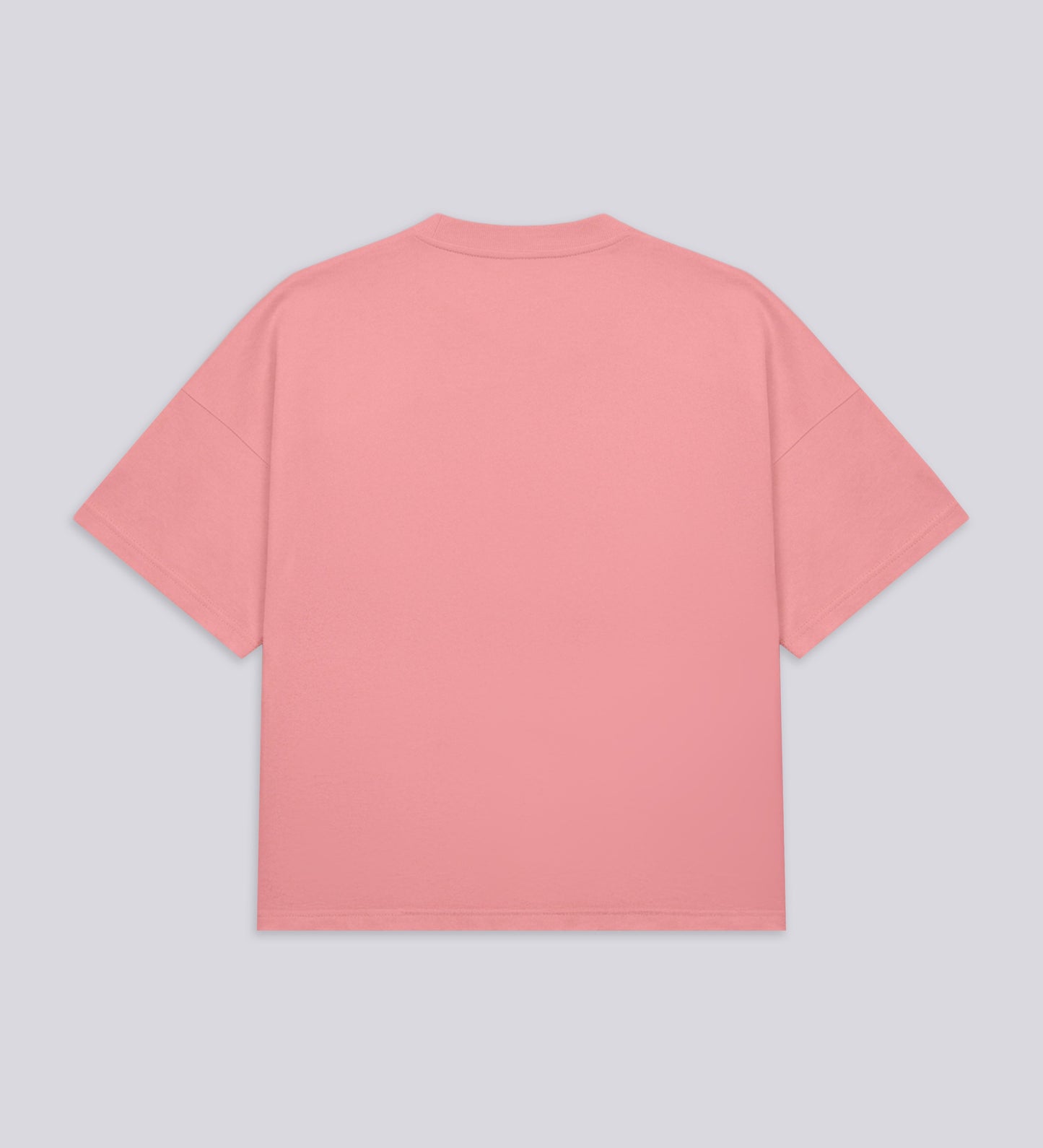 STRTN® CORE T-SHIRT – Washed Pink