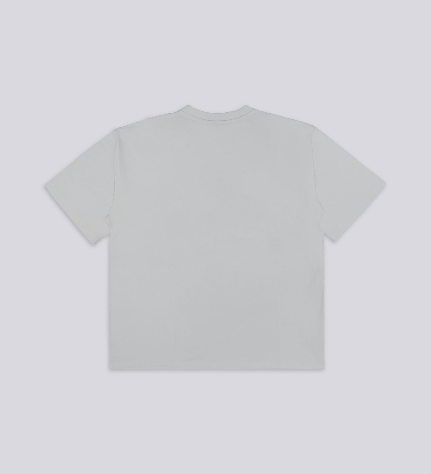 CULT SUPPLY T-SHIRT – Light Gray