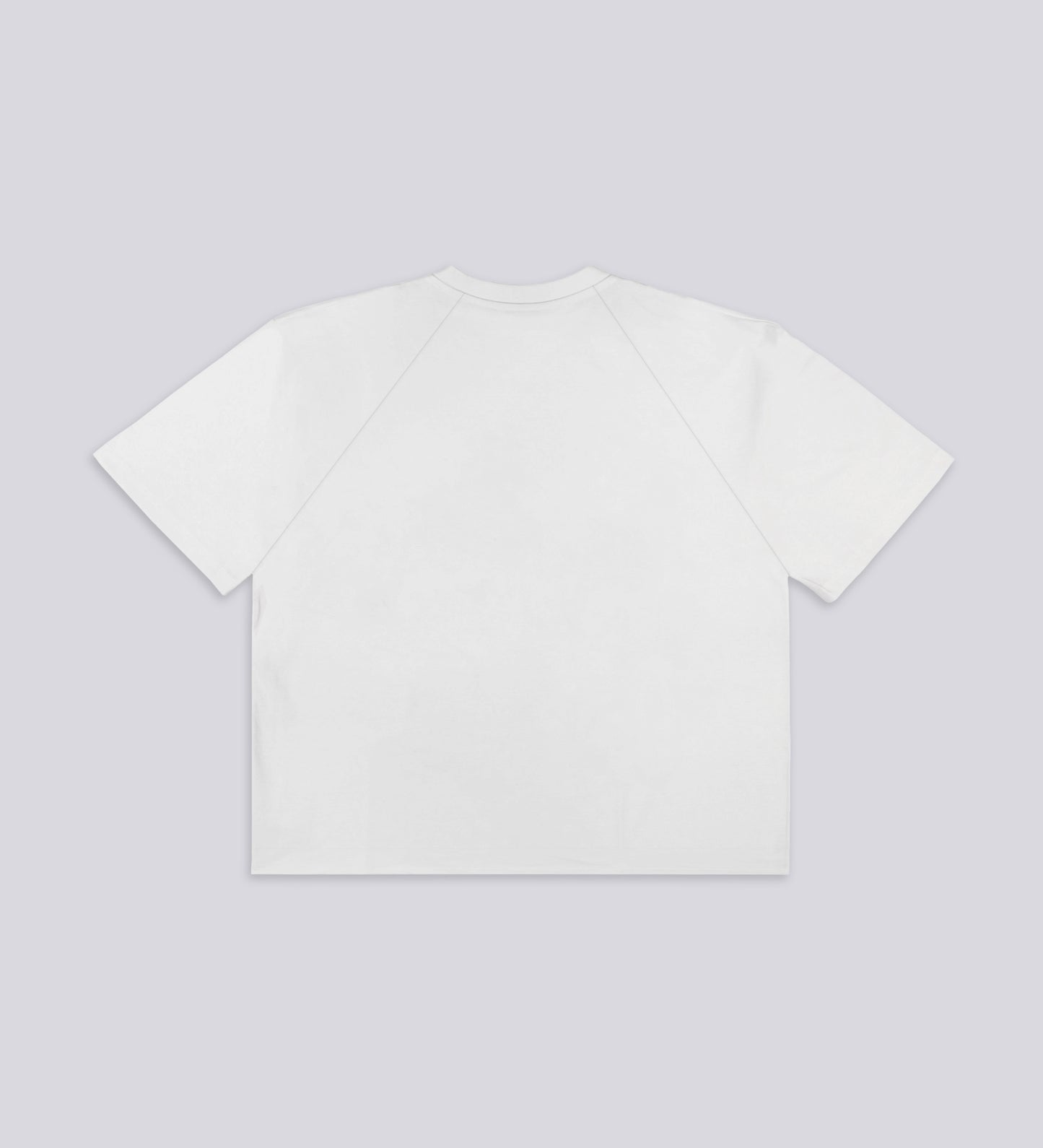 ASPHALT HEAVYWEIGHT T-SHIRT – White