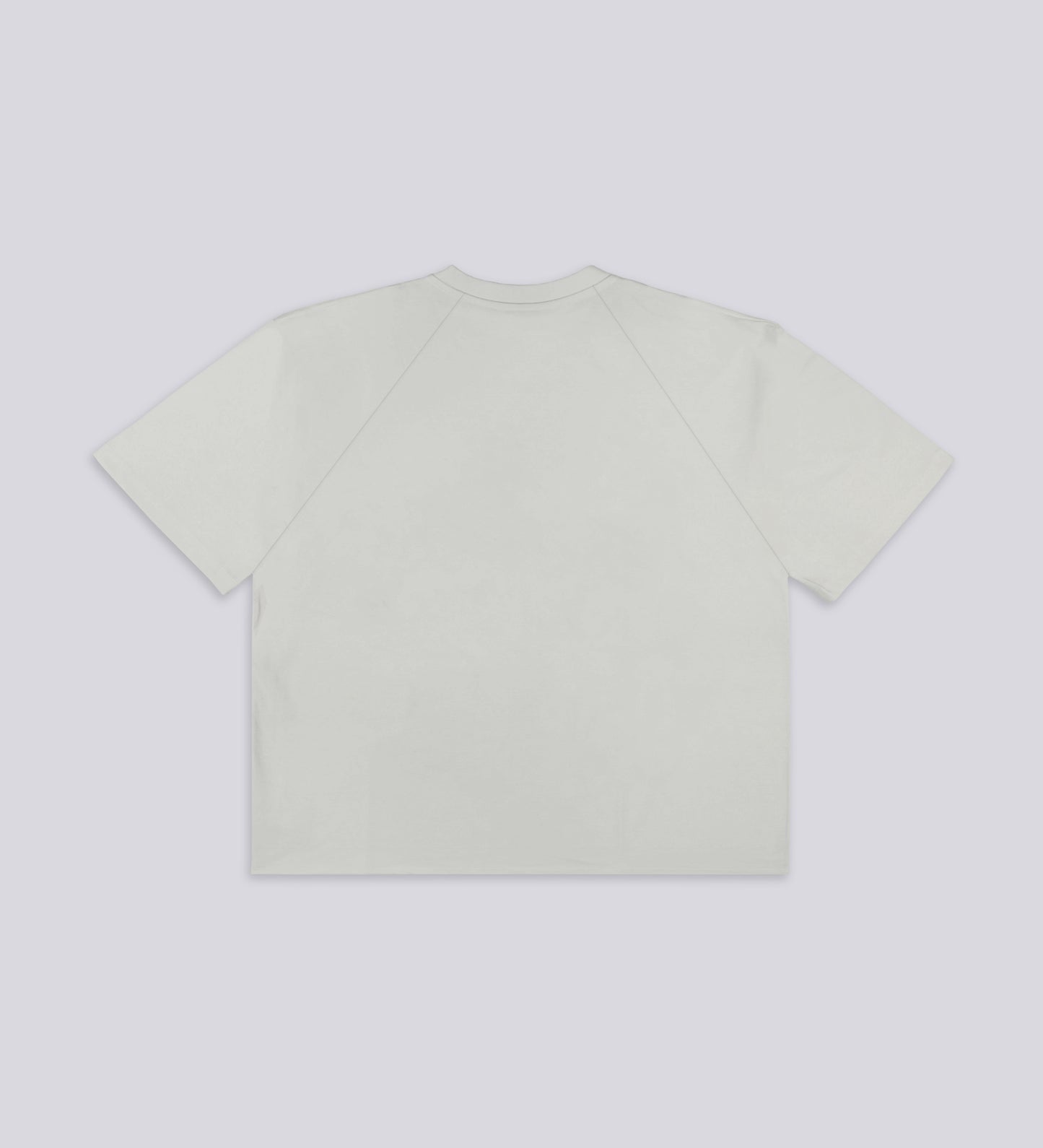 ASPHALT HEAVYWEIGHT T-SHIRT – Light Gray